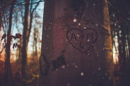 Eternal love carved into tree. - Photo: wikimedia