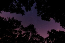 purple night time sky
