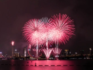 bright pink fireworks over city skyline