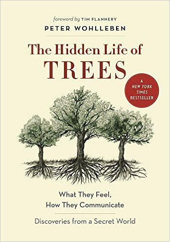 hidden-life-of-trees