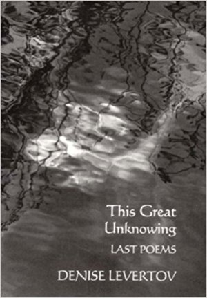 the-great-unknowing